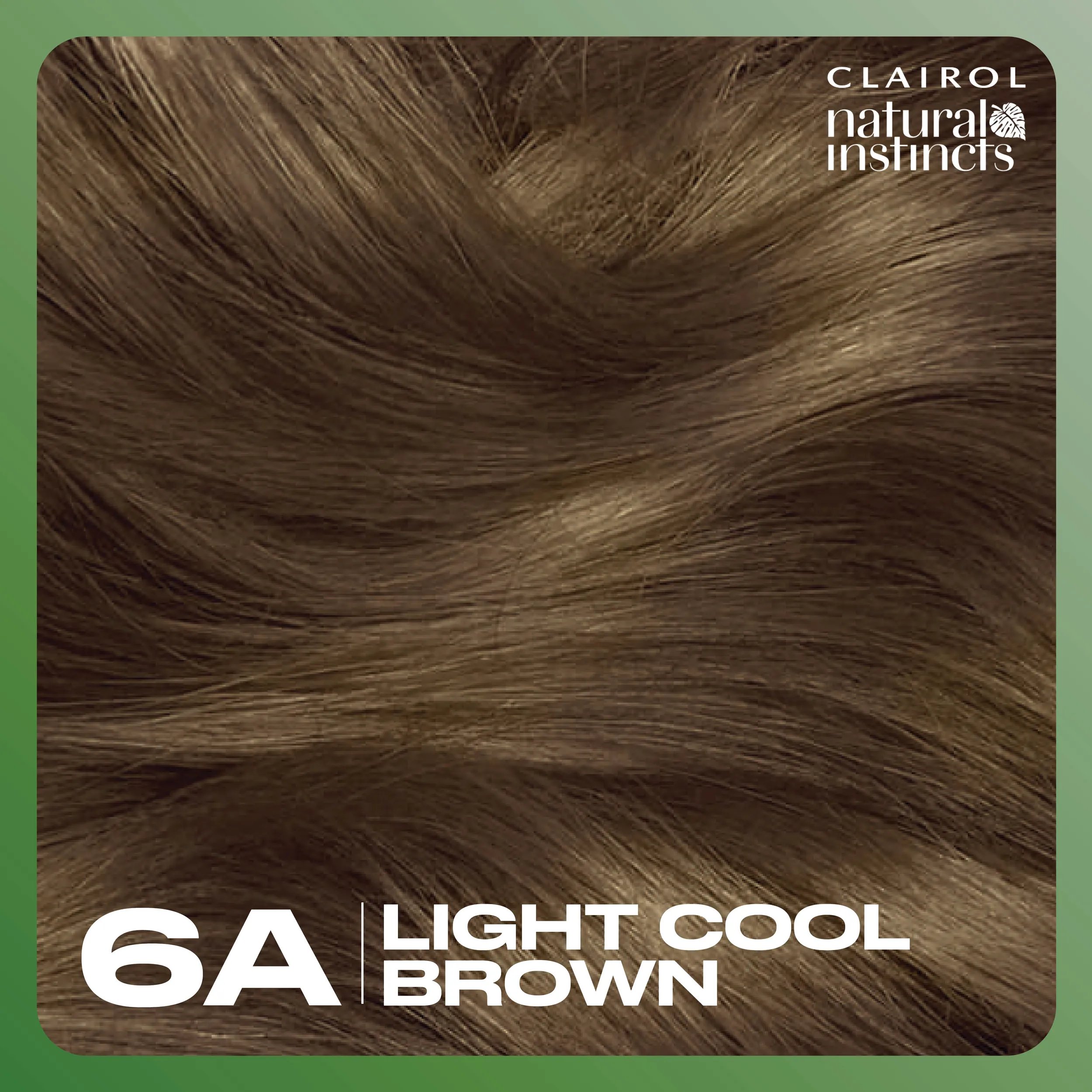 6A Light Cool Brown Swatch