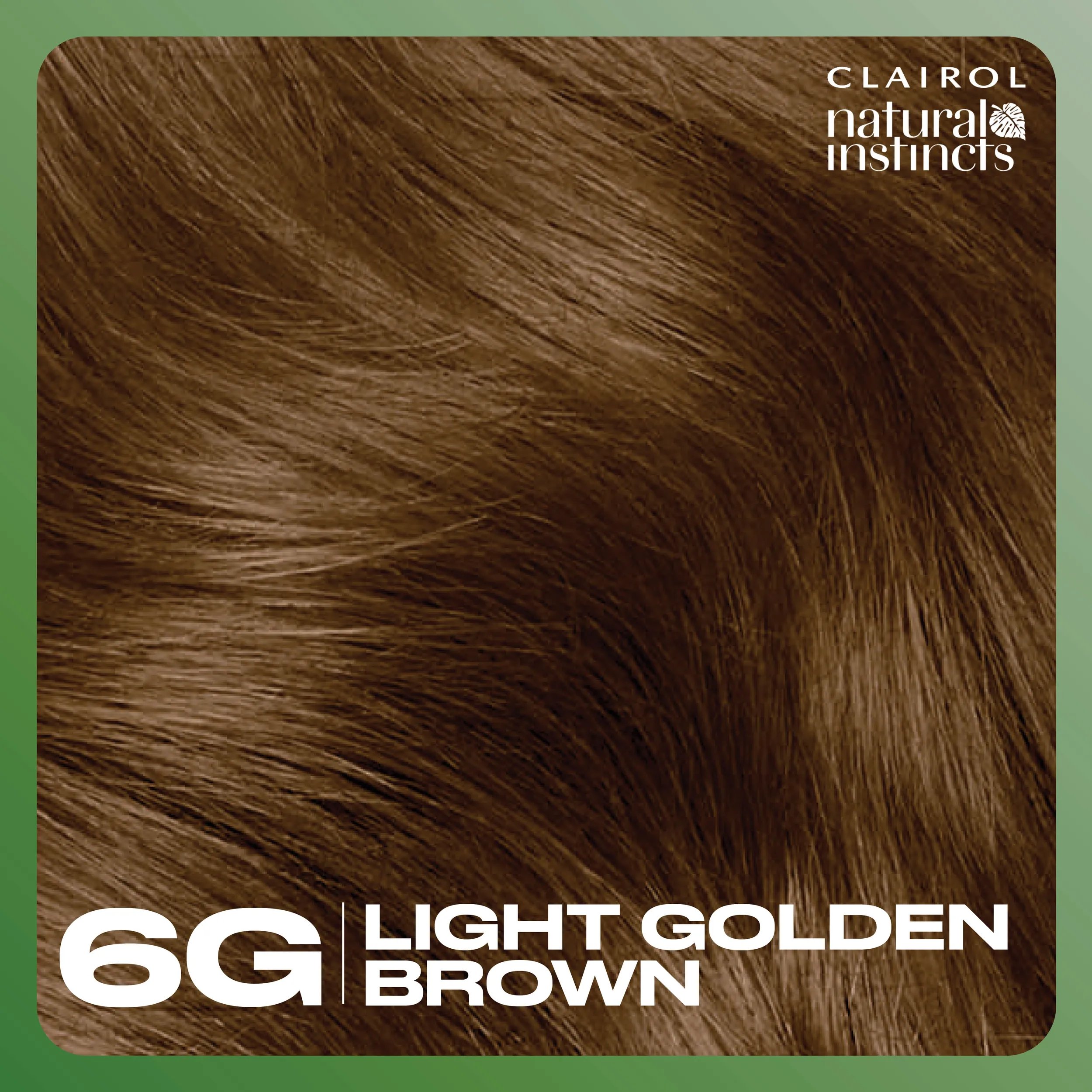 6G Light Golden Brown Swatch
