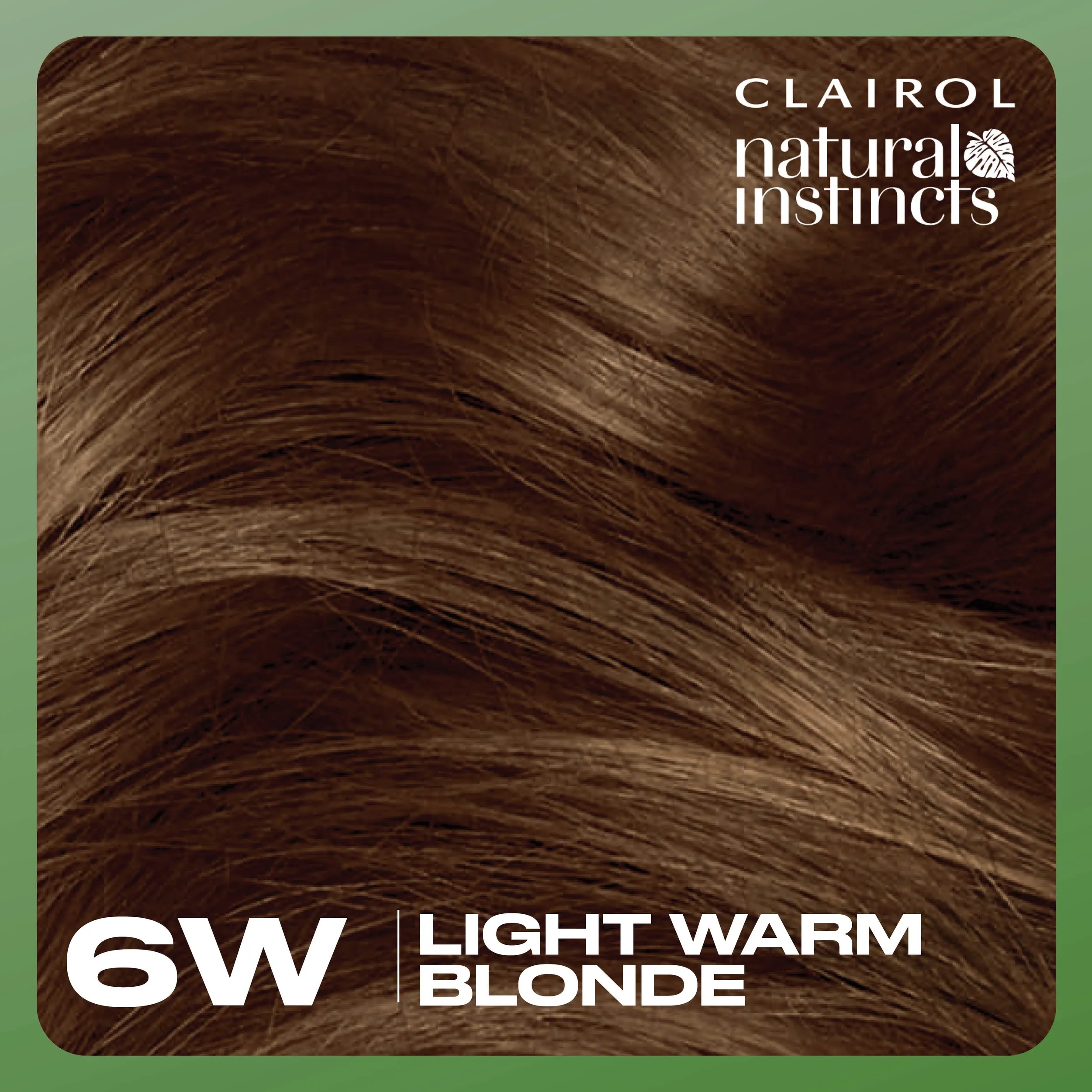 6W Light Warm Brown Swatch